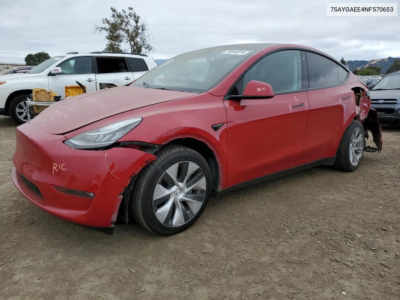 2022 Tesla Model Y VIN: 7SAYGAEE4NF570653 Lot: 70044074