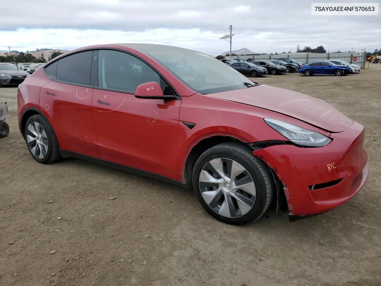 2022 Tesla Model Y VIN: 7SAYGAEE4NF570653 Lot: 70044074