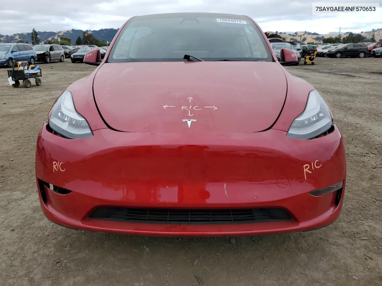 2022 Tesla Model Y VIN: 7SAYGAEE4NF570653 Lot: 70044074