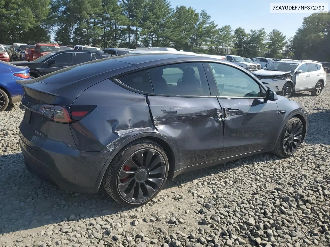 2022 Tesla Model Y VIN: 7SAYGDEF7NF372790 Lot: 70059084