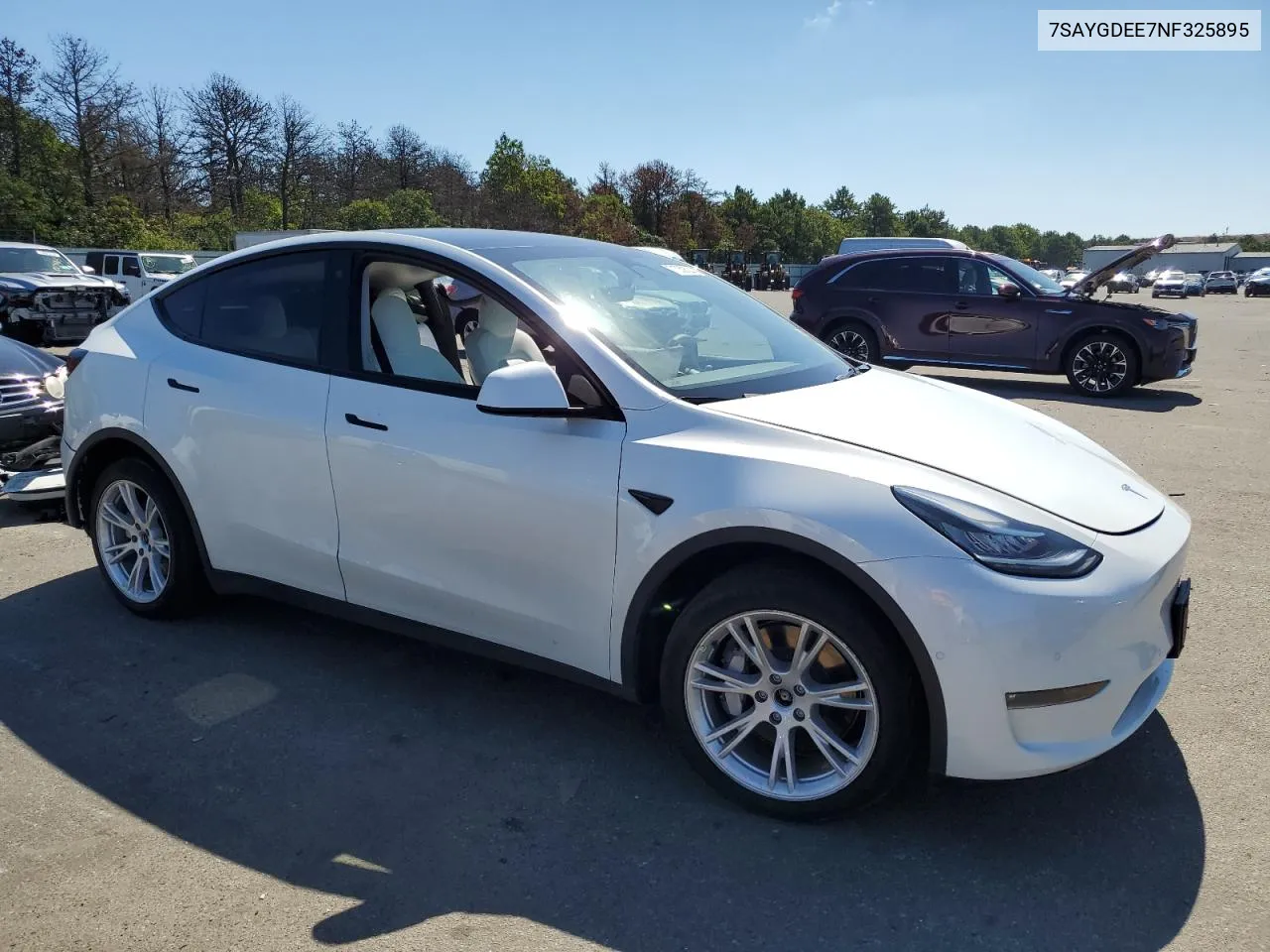 2022 Tesla Model Y VIN: 7SAYGDEE7NF325895 Lot: 71059524