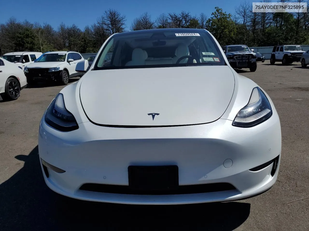 2022 Tesla Model Y VIN: 7SAYGDEE7NF325895 Lot: 71059524