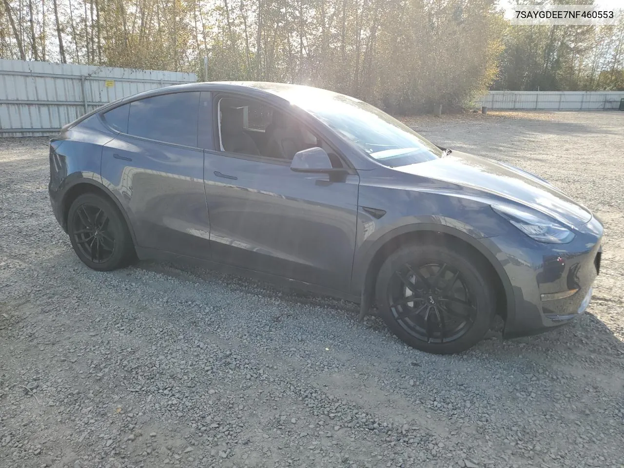 2022 Tesla Model Y VIN: 7SAYGDEE7NF460553 Lot: 72561264