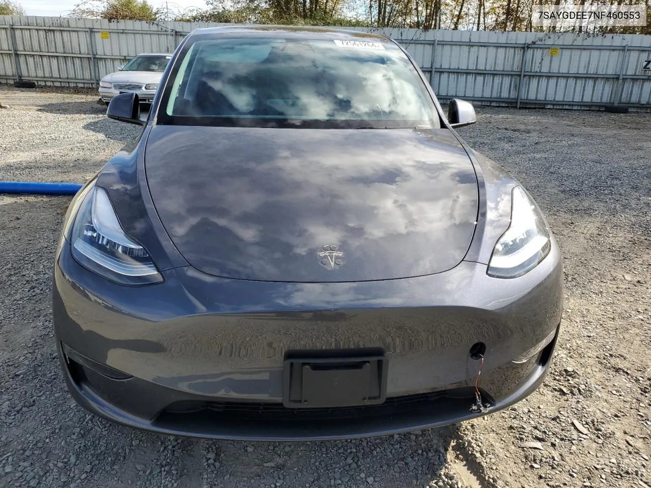 2022 Tesla Model Y VIN: 7SAYGDEE7NF460553 Lot: 72561264