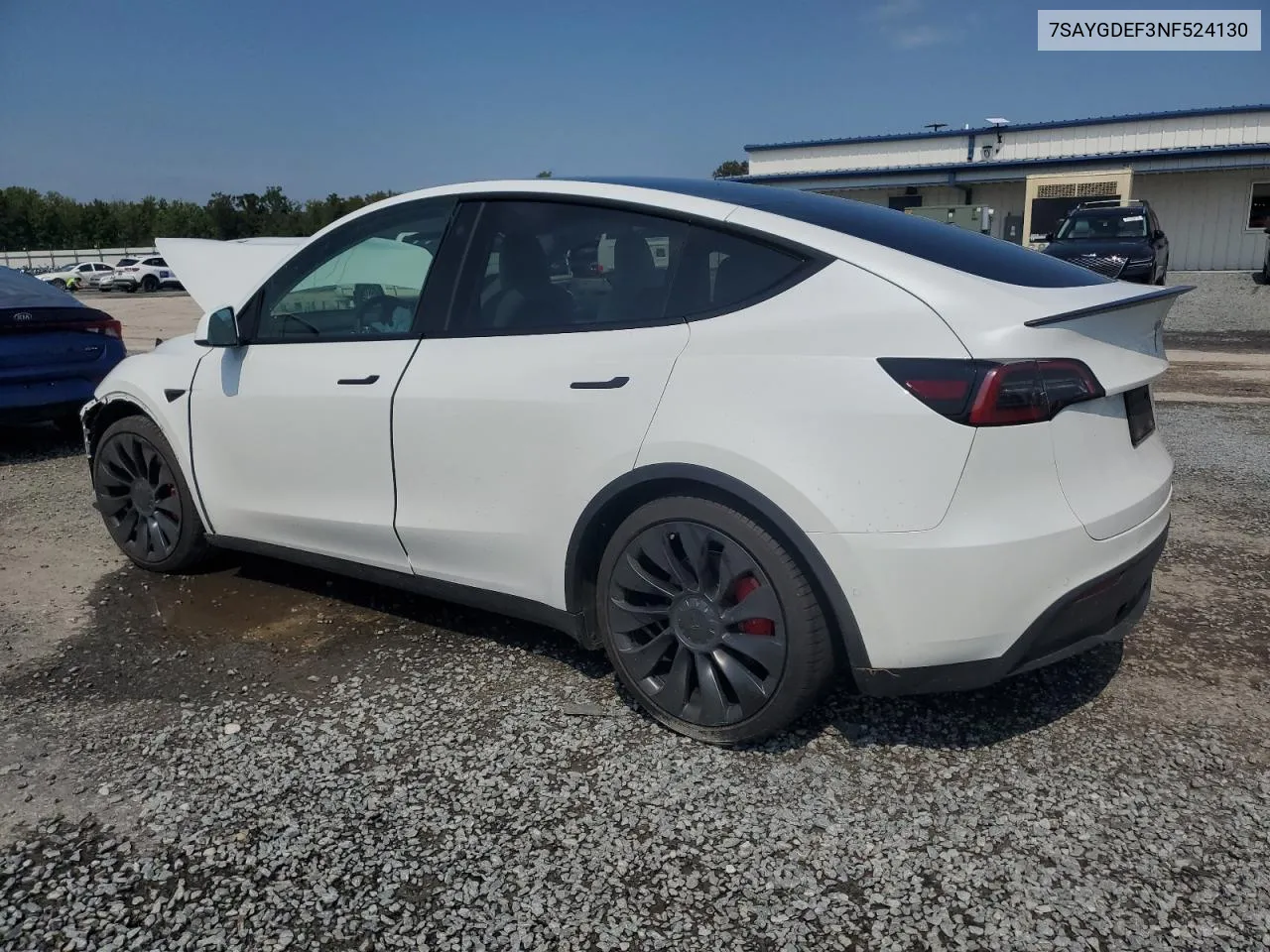 2022 Tesla Model Y VIN: 7SAYGDEF3NF524130 Lot: 72841864