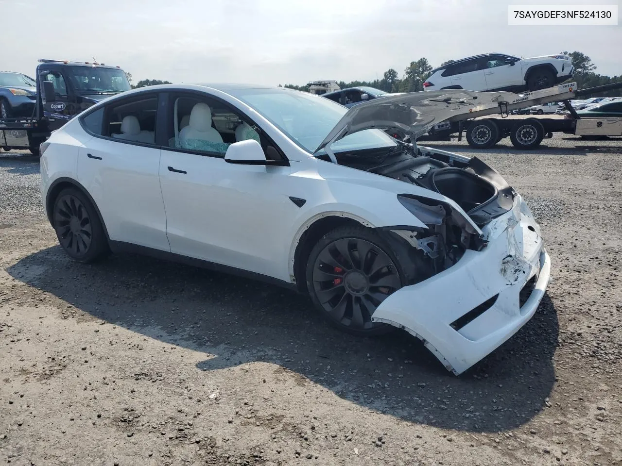 2022 Tesla Model Y VIN: 7SAYGDEF3NF524130 Lot: 72841864