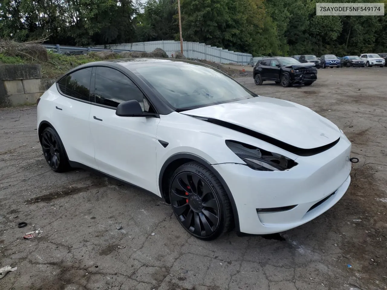 2022 Tesla Model Y VIN: 7SAYGDEF5NF549174 Lot: 72851534