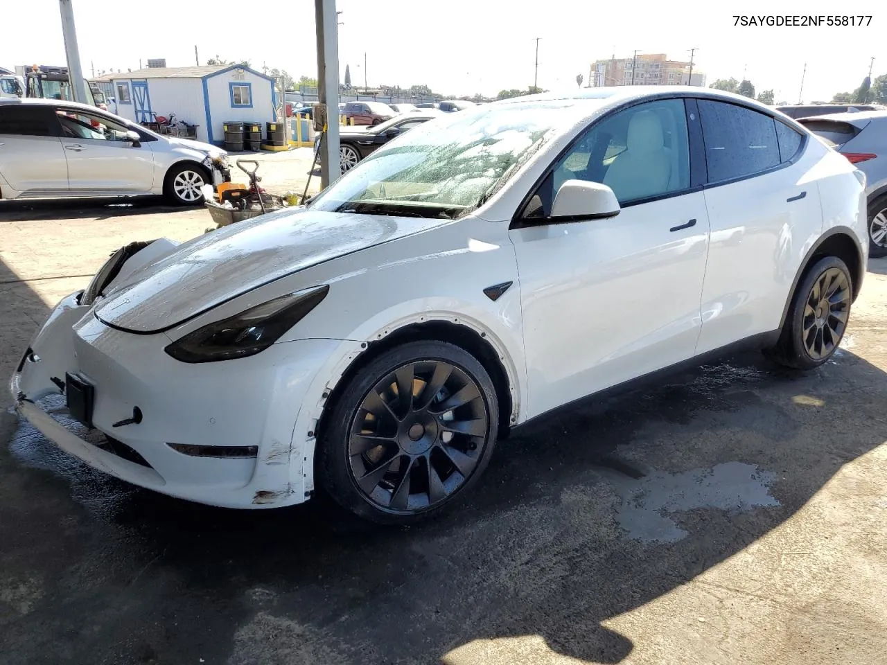 2022 Tesla Model Y VIN: 7SAYGDEE2NF558177 Lot: 73360224