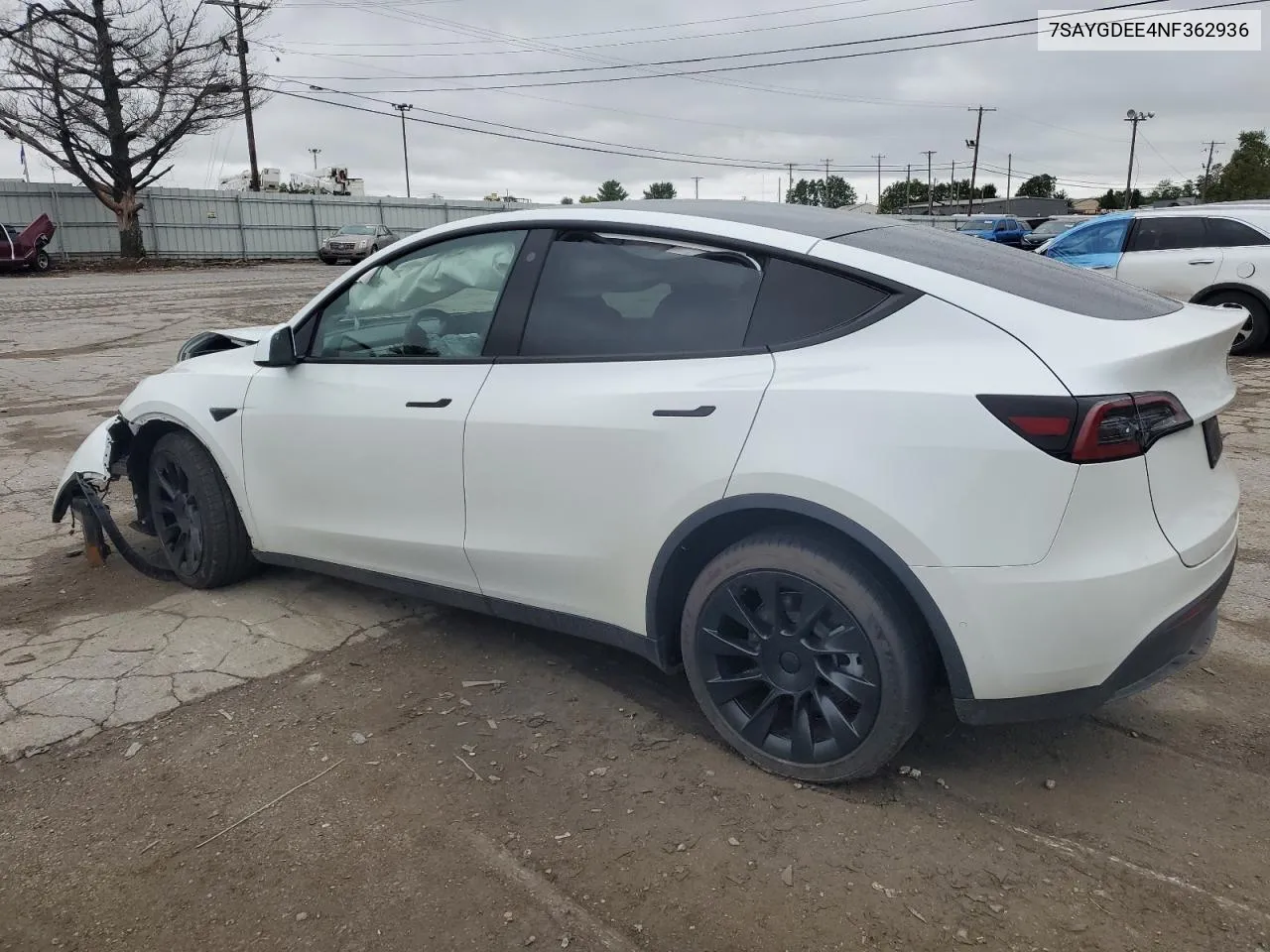 2022 Tesla Model Y VIN: 7SAYGDEE4NF362936 Lot: 73454704