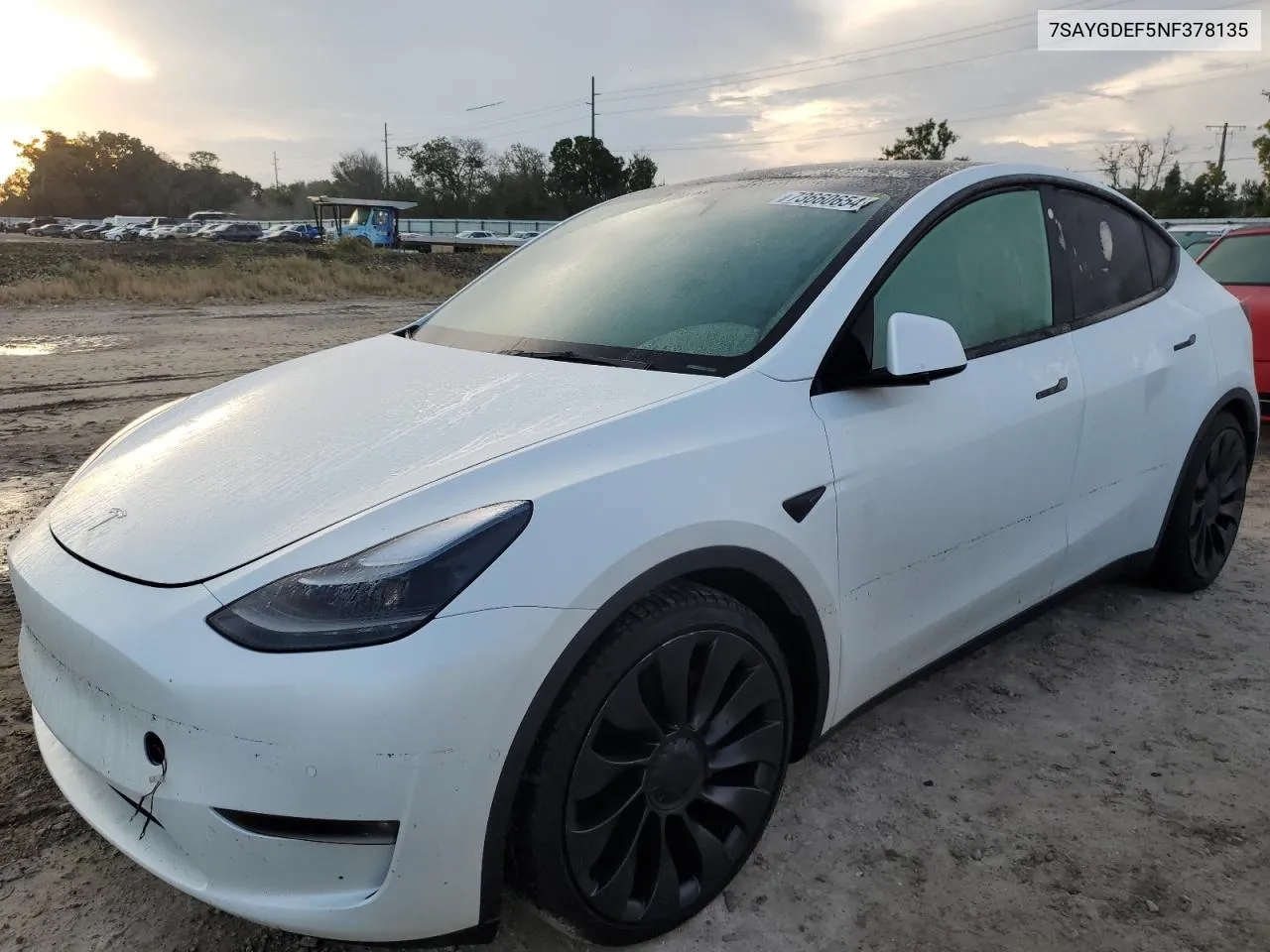 2022 Tesla Model Y VIN: 7SAYGDEF5NF378135 Lot: 73660654