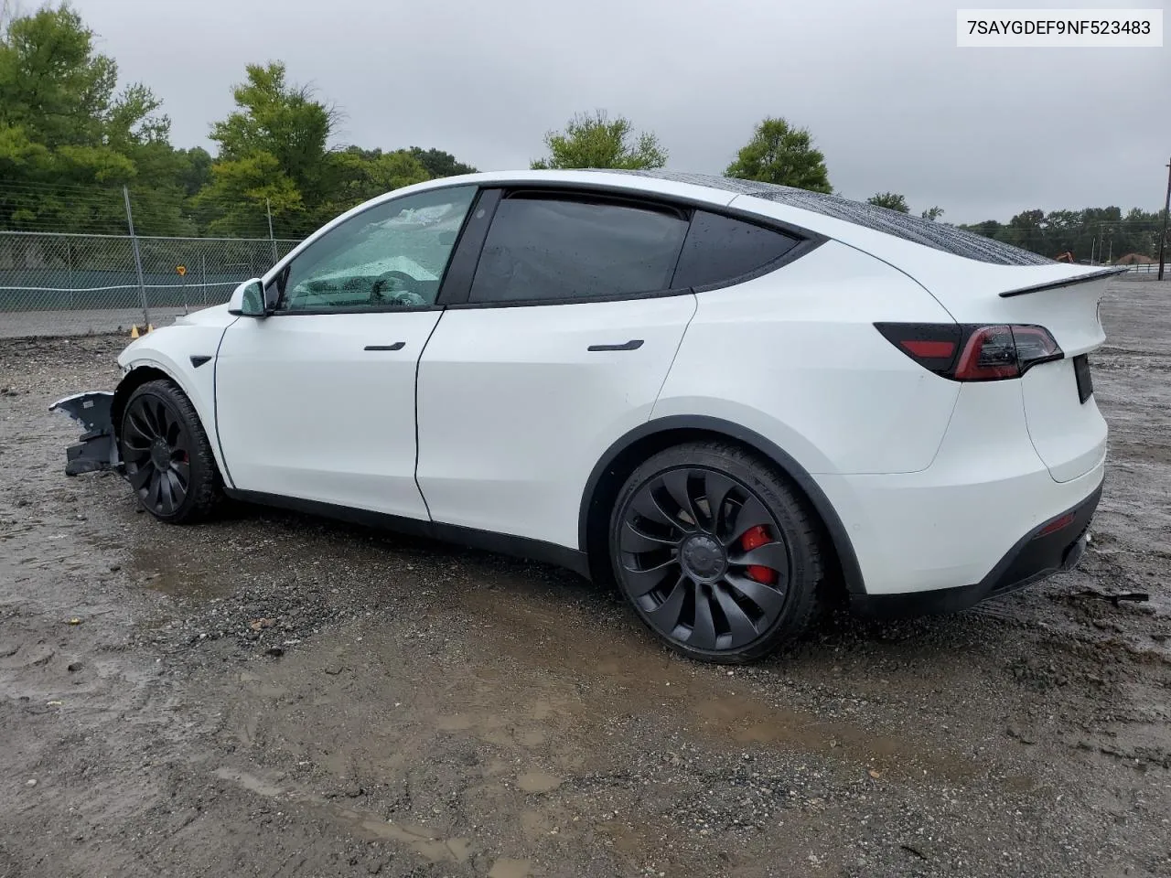 2022 Tesla Model Y VIN: 7SAYGDEF9NF523483 Lot: 73746934