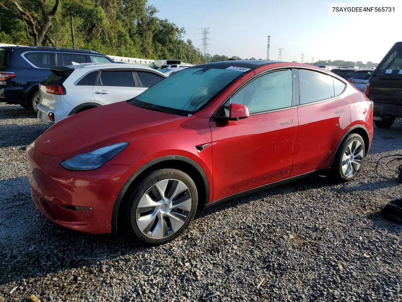 2022 Tesla Model Y VIN: 7SAYGDEE4NF565731 Lot: 73757404