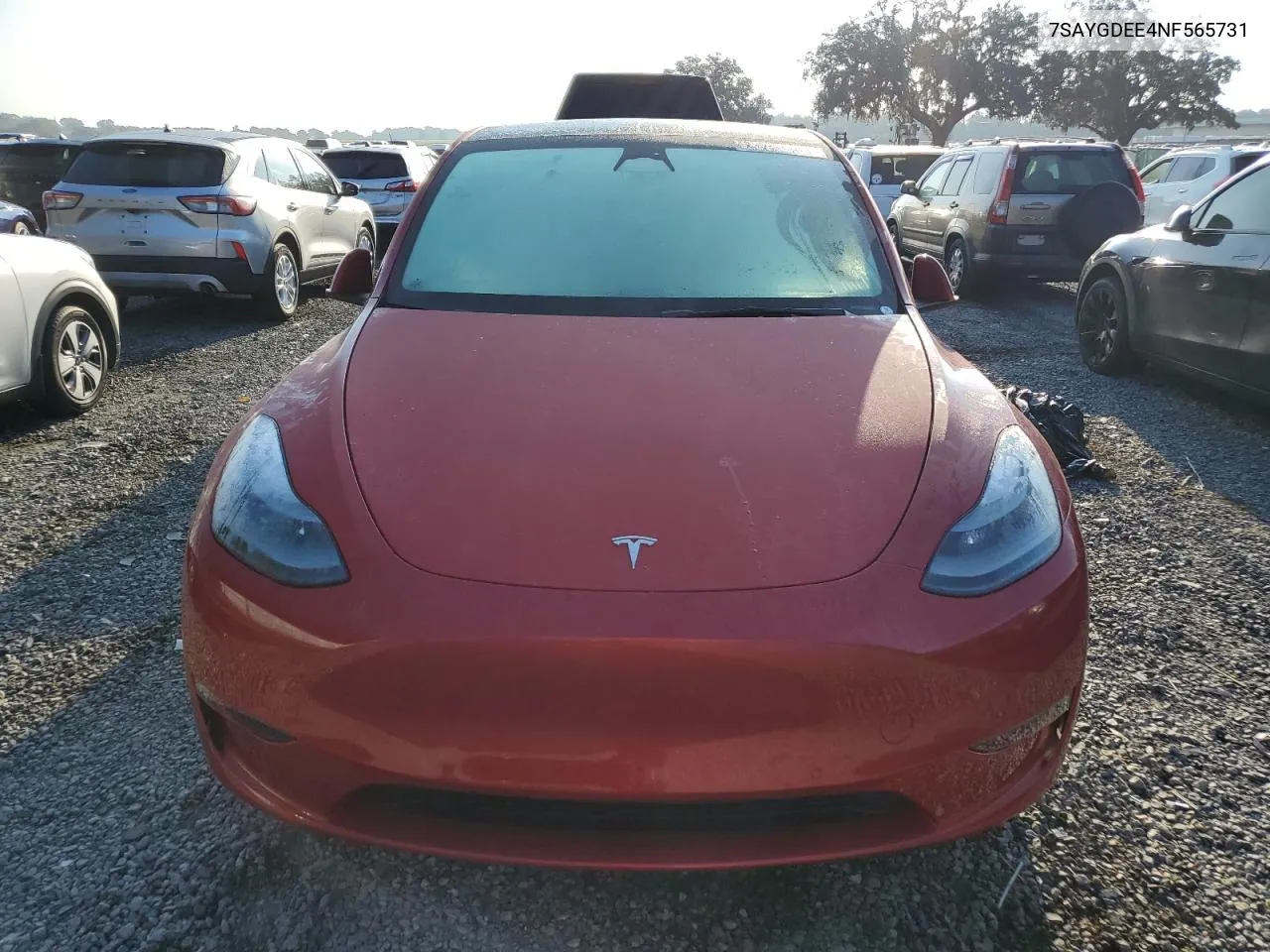 2022 Tesla Model Y VIN: 7SAYGDEE4NF565731 Lot: 73757404