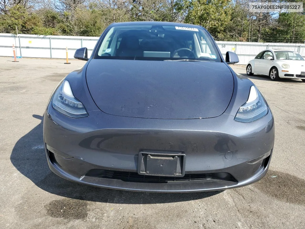 2022 Tesla Model Y VIN: 7SAYGDEE2NF385227 Lot: 73819074