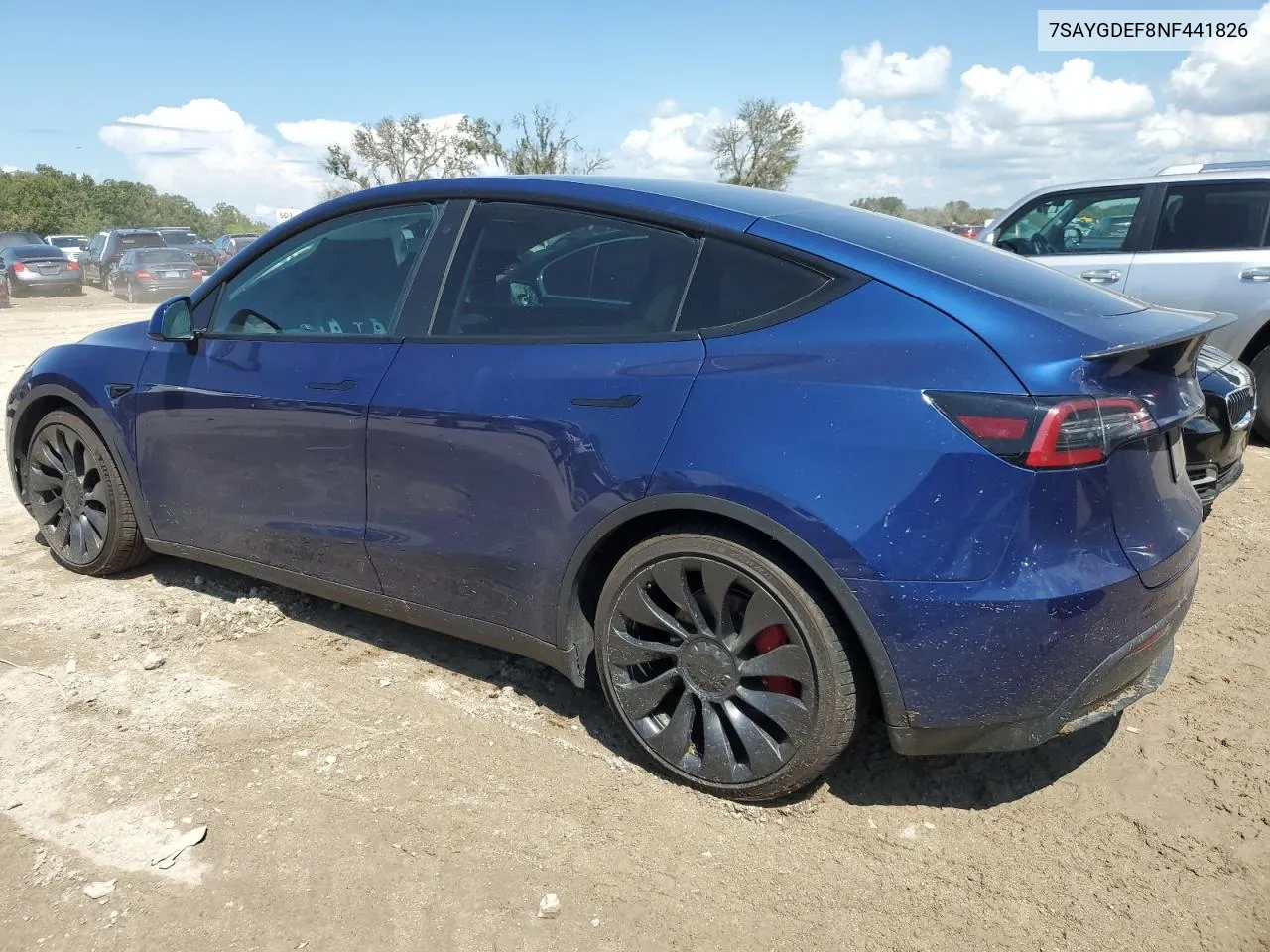 2022 Tesla Model Y VIN: 7SAYGDEF8NF441826 Lot: 73829764