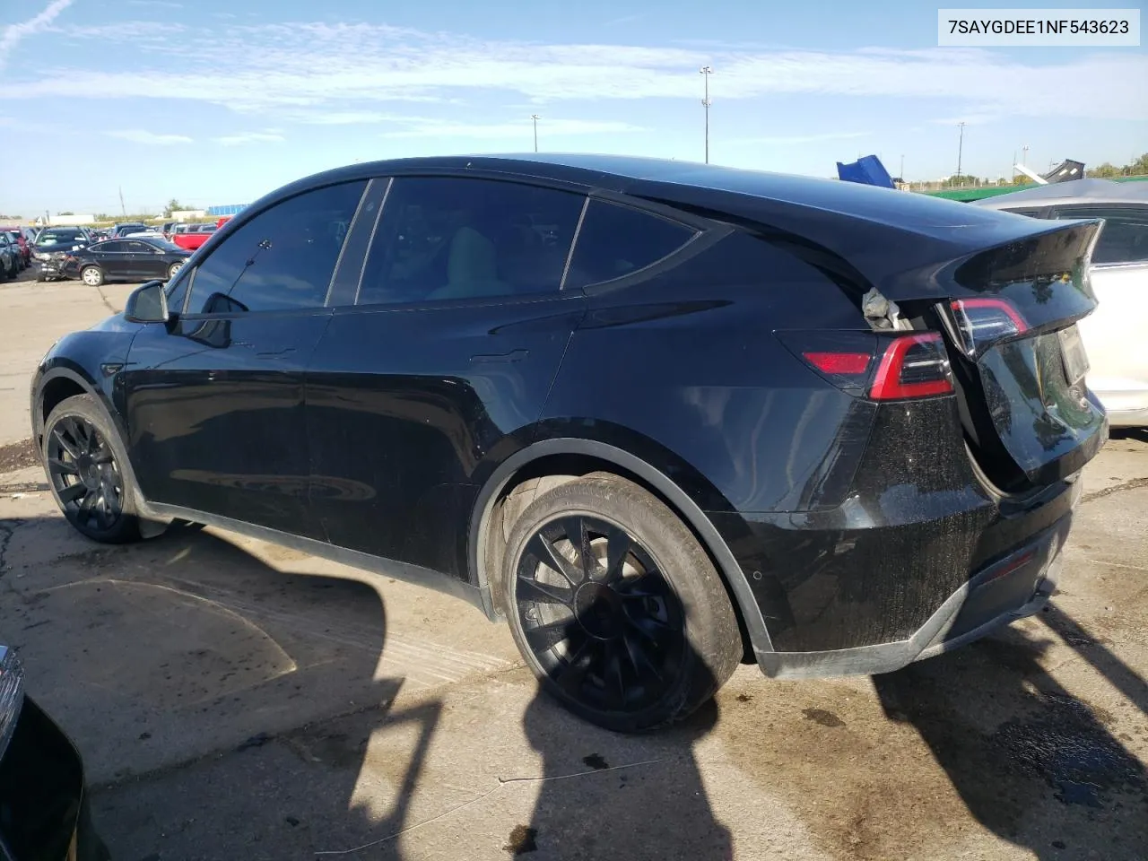 2022 Tesla Model Y VIN: 7SAYGDEE1NF543623 Lot: 73950964