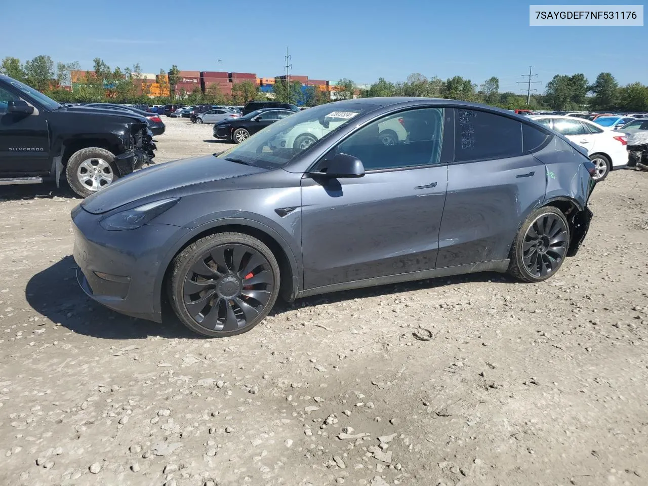 2022 Tesla Model Y VIN: 7SAYGDEF7NF531176 Lot: 73972324