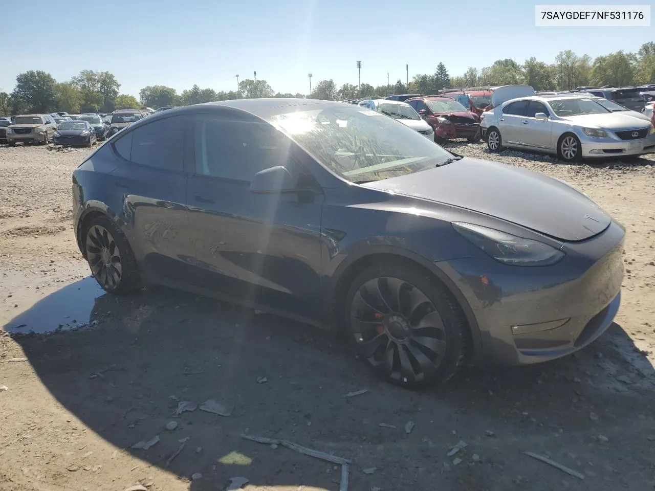 2022 Tesla Model Y VIN: 7SAYGDEF7NF531176 Lot: 73972324