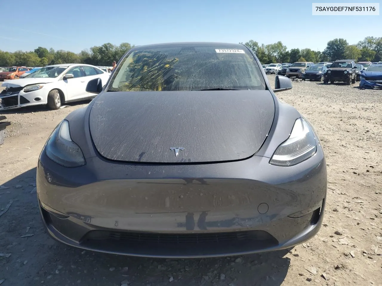 2022 Tesla Model Y VIN: 7SAYGDEF7NF531176 Lot: 73972324