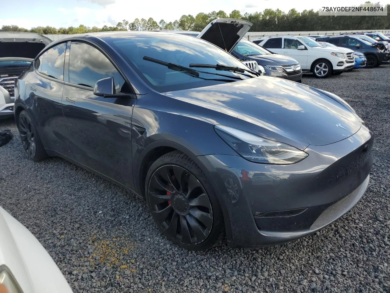 2022 Tesla Model Y VIN: 7SAYGDEF2NF448674 Lot: 73993004