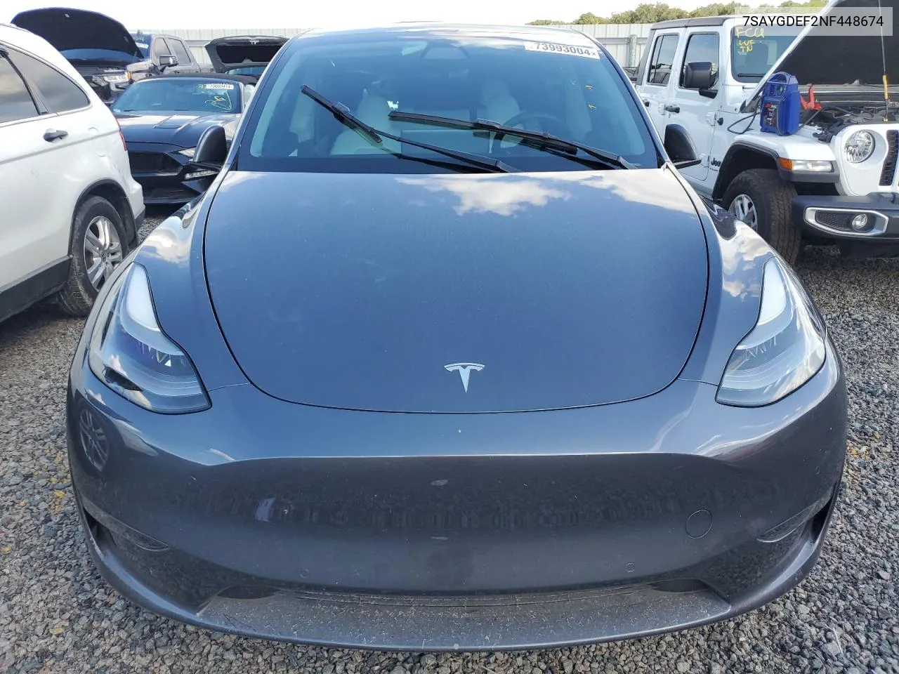 2022 Tesla Model Y VIN: 7SAYGDEF2NF448674 Lot: 73993004