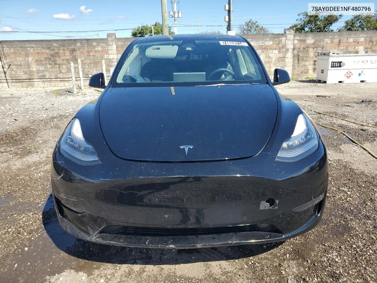 2022 Tesla Model Y VIN: 7SAYGDEE1NF480796 Lot: 74023714