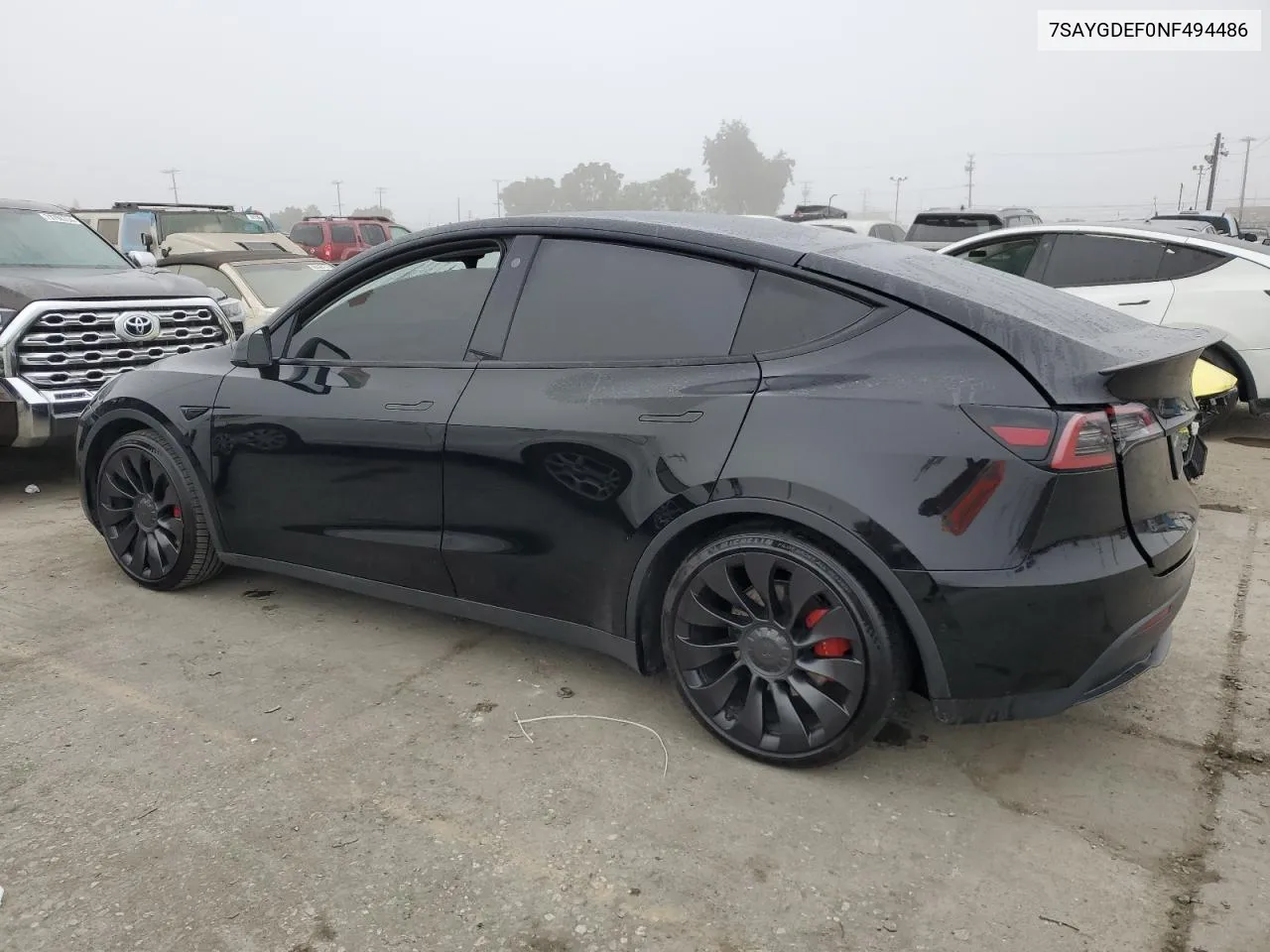 7SAYGDEF0NF494486 2022 Tesla Model Y