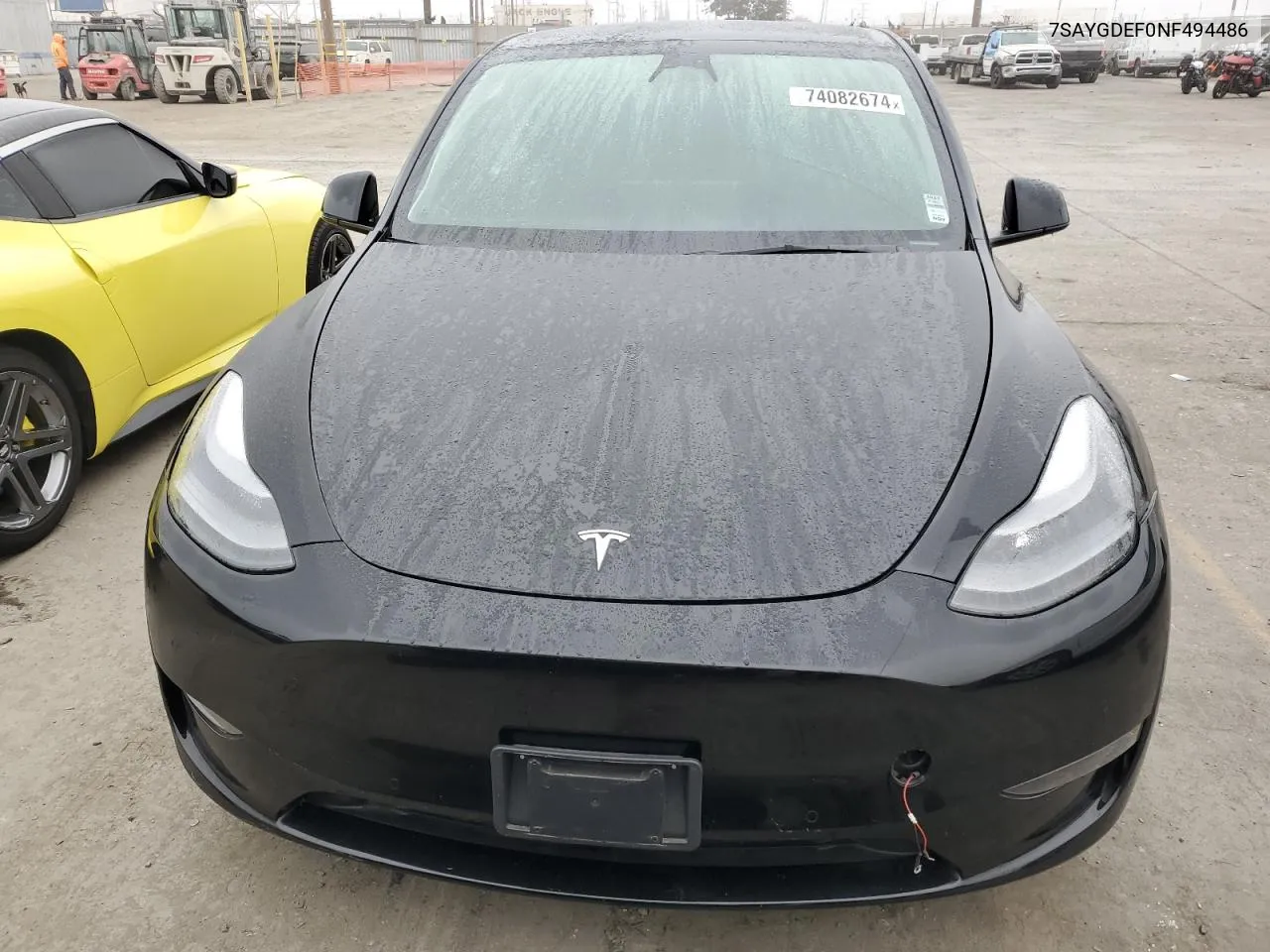 2022 Tesla Model Y VIN: 7SAYGDEF0NF494486 Lot: 74082674