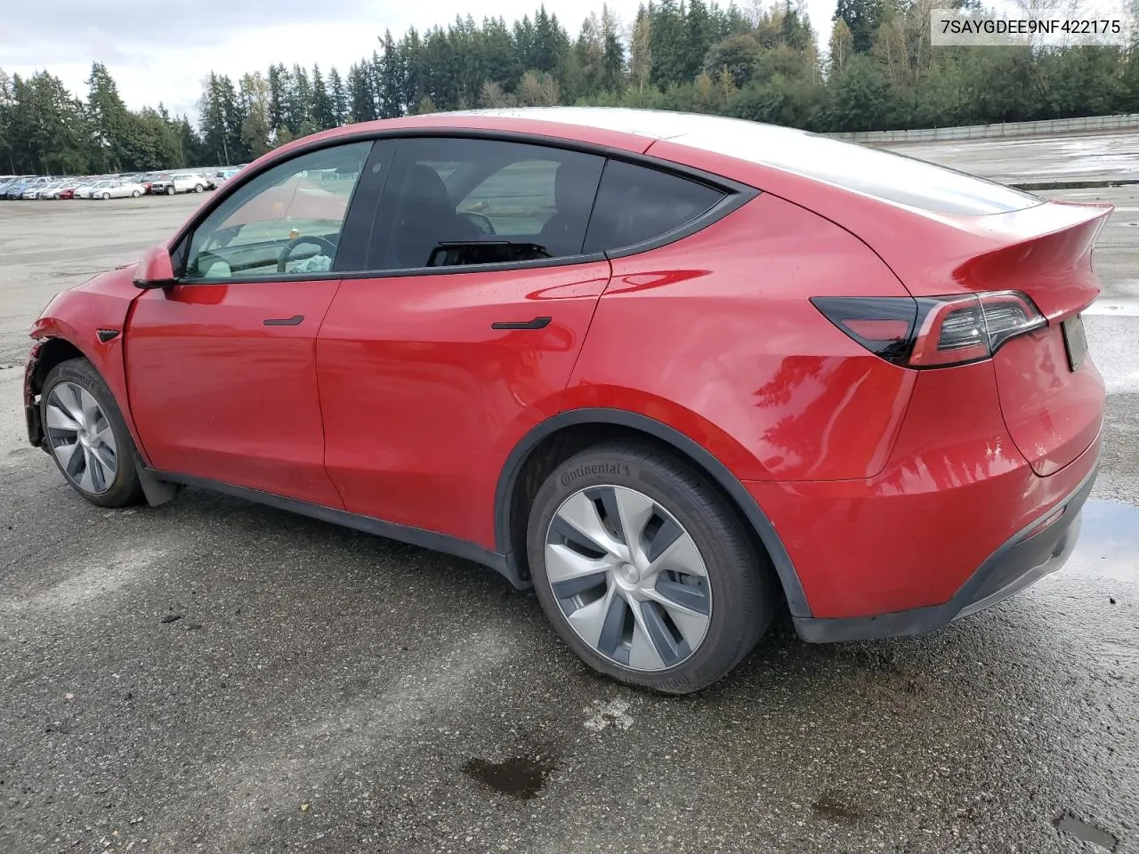 2022 Tesla Model Y VIN: 7SAYGDEE9NF422175 Lot: 74332804