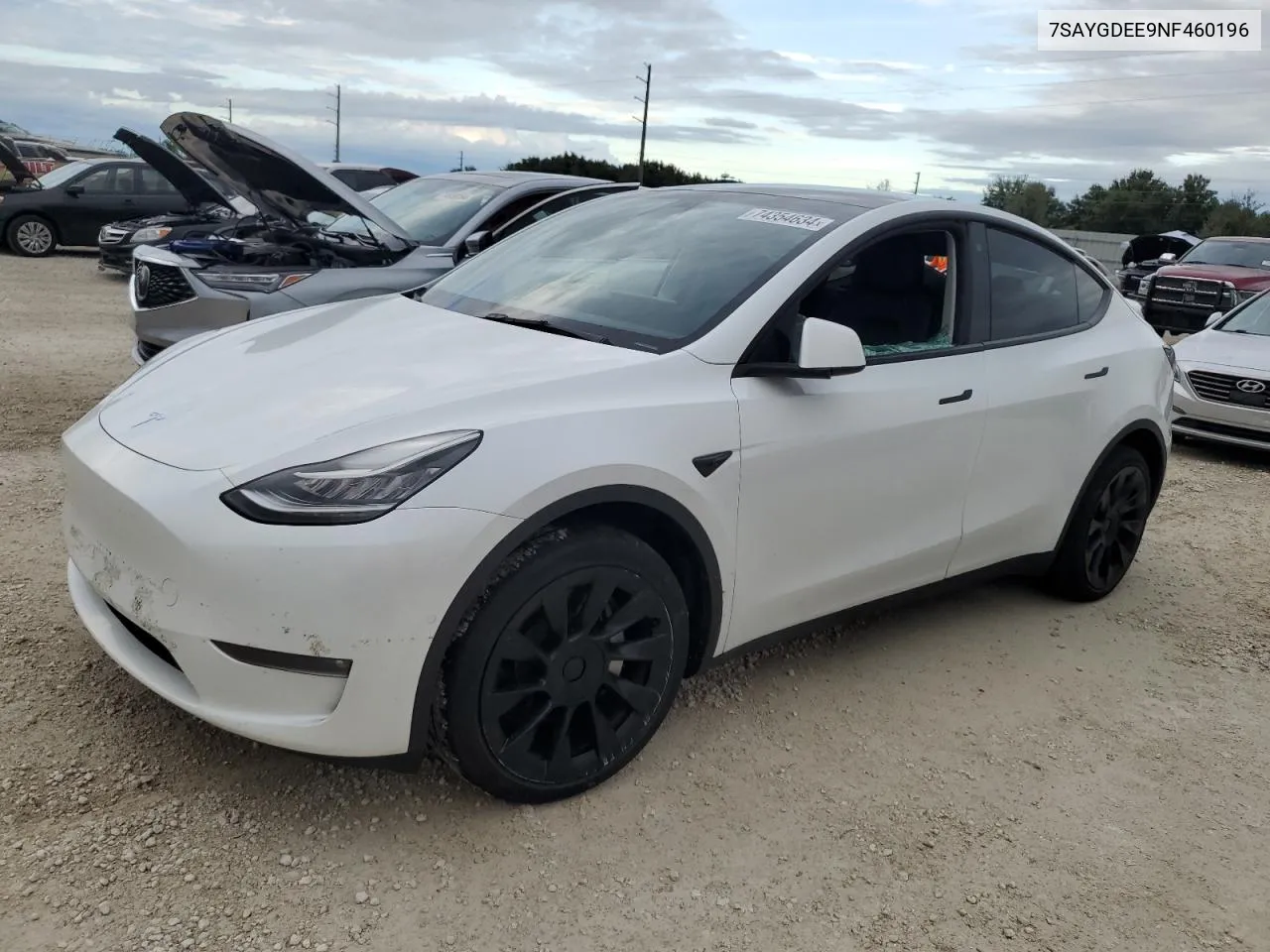 2022 Tesla Model Y VIN: 7SAYGDEE9NF460196 Lot: 74354634