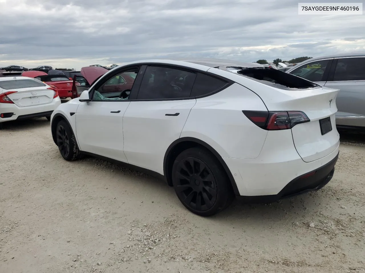 2022 Tesla Model Y VIN: 7SAYGDEE9NF460196 Lot: 74354634