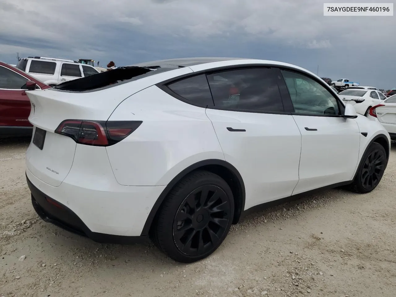 2022 Tesla Model Y VIN: 7SAYGDEE9NF460196 Lot: 74354634