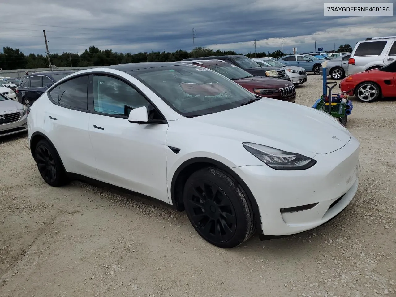 2022 Tesla Model Y VIN: 7SAYGDEE9NF460196 Lot: 74354634