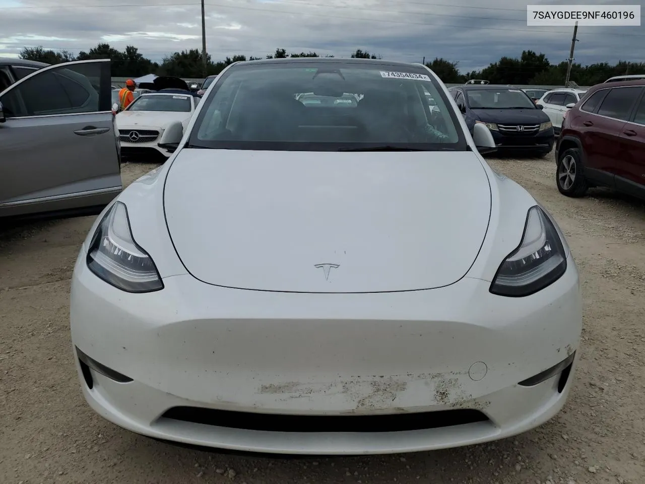 2022 Tesla Model Y VIN: 7SAYGDEE9NF460196 Lot: 74354634