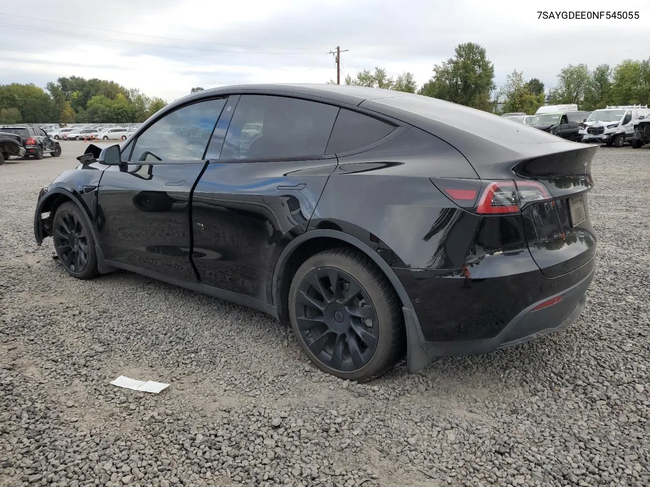 2022 Tesla Model Y VIN: 7SAYGDEE0NF545055 Lot: 74397084