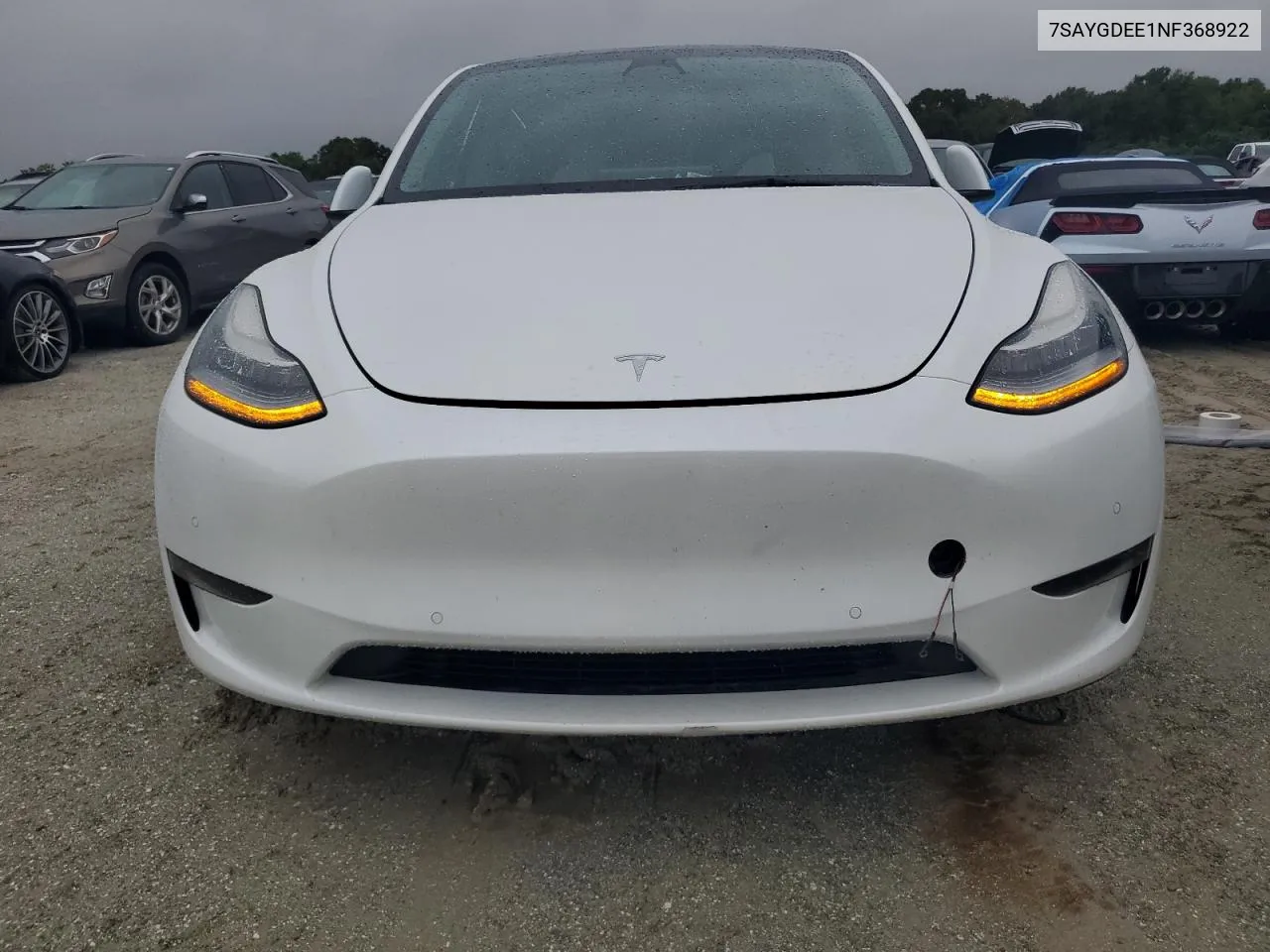 2022 Tesla Model Y VIN: 7SAYGDEE1NF368922 Lot: 74558774