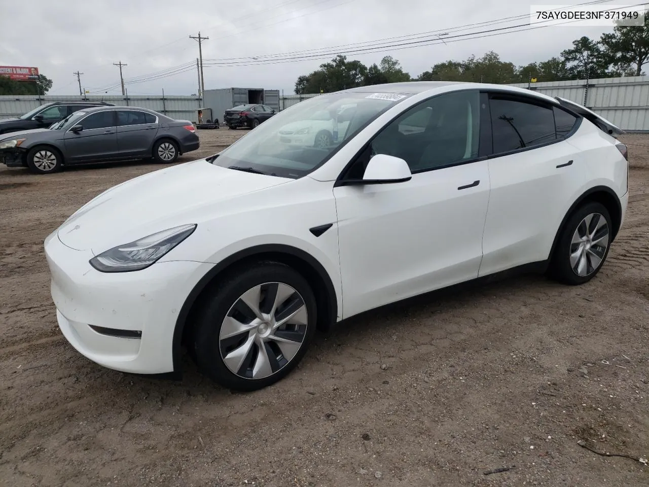 2022 Tesla Model Y VIN: 7SAYGDEE3NF371949 Lot: 74559884