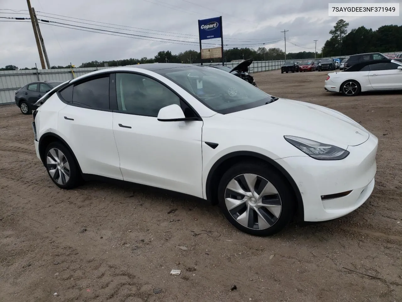 2022 Tesla Model Y VIN: 7SAYGDEE3NF371949 Lot: 74559884