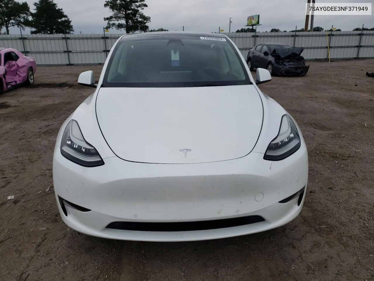 2022 Tesla Model Y VIN: 7SAYGDEE3NF371949 Lot: 74559884