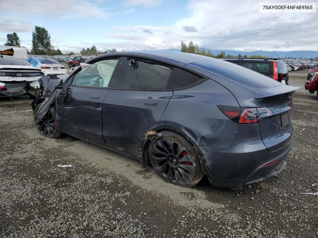 2022 Tesla Model Y VIN: 7SAYGDEF4NF489565 Lot: 74628124