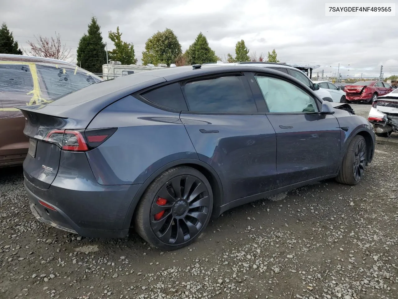 2022 Tesla Model Y VIN: 7SAYGDEF4NF489565 Lot: 74628124