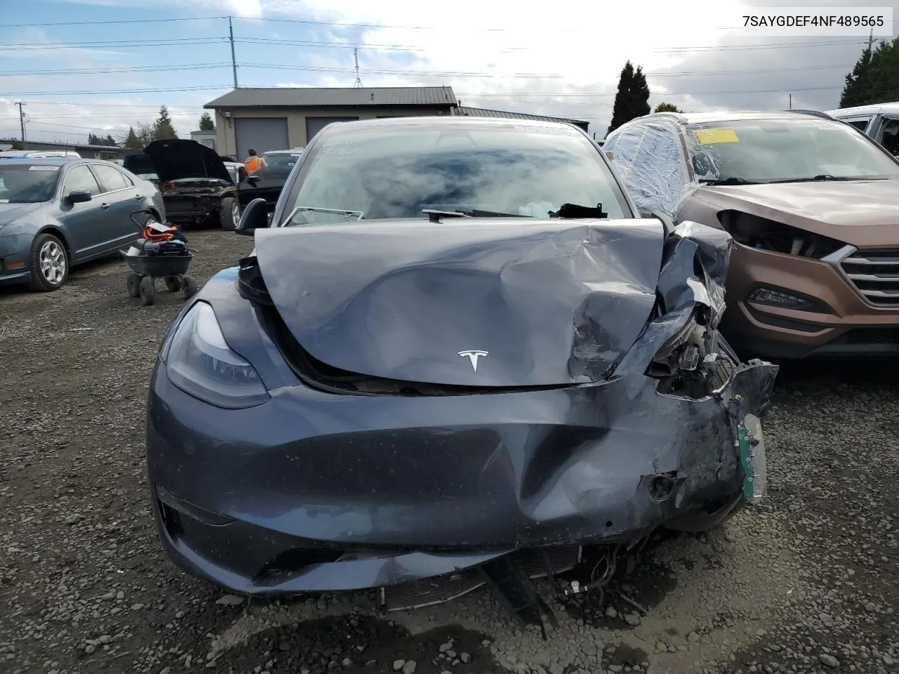 2022 Tesla Model Y VIN: 7SAYGDEF4NF489565 Lot: 74628124