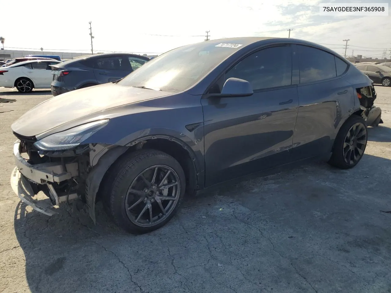 2022 Tesla Model Y VIN: 7SAYGDEE3NF365908 Lot: 74717724