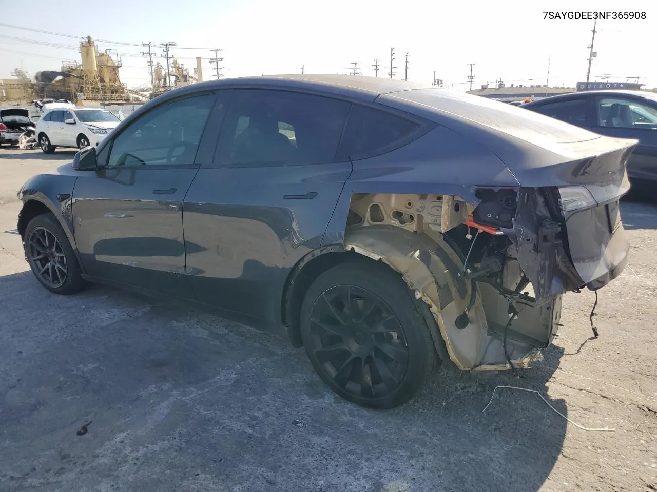 2022 Tesla Model Y VIN: 7SAYGDEE3NF365908 Lot: 74717724