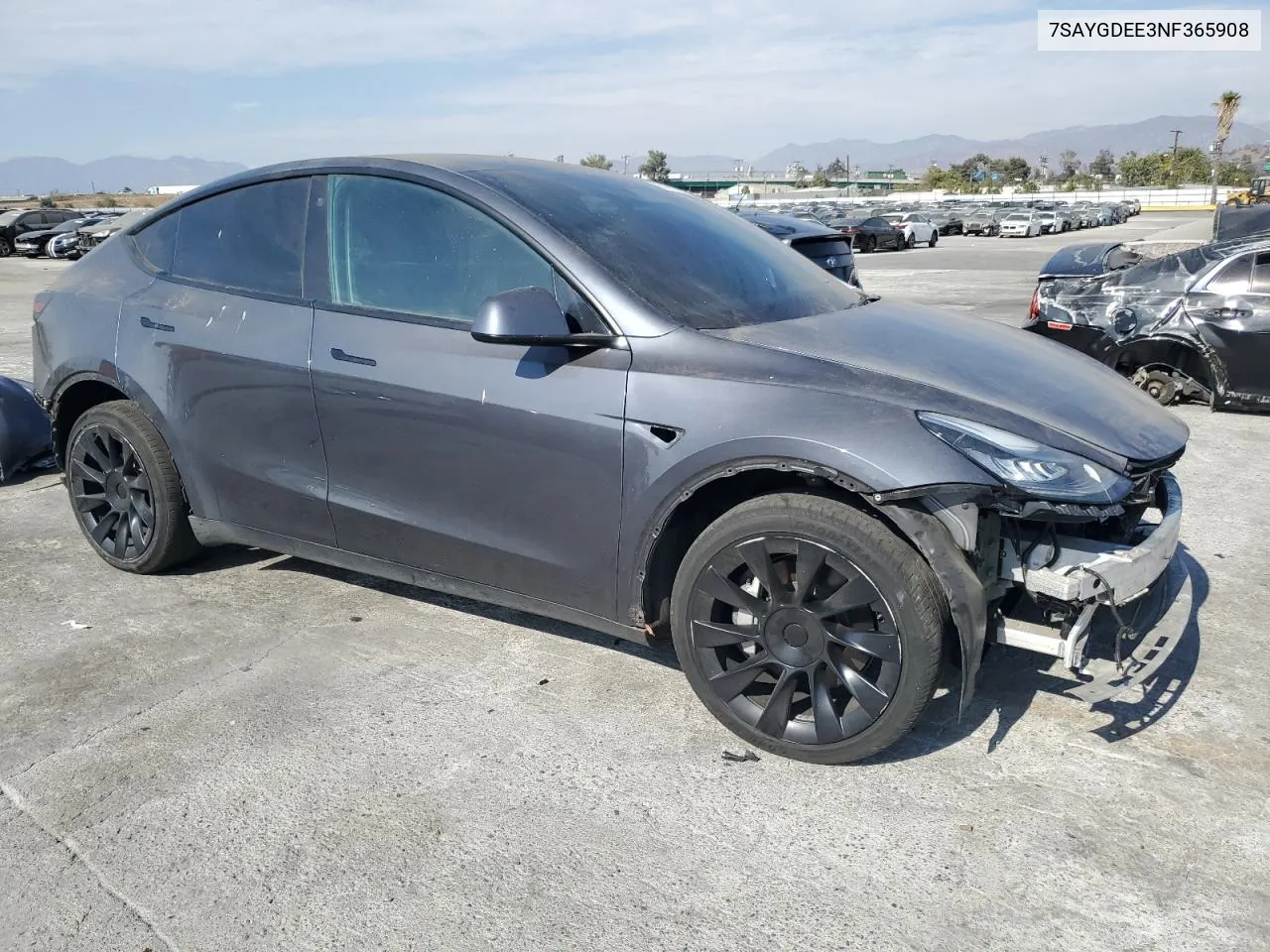 2022 Tesla Model Y VIN: 7SAYGDEE3NF365908 Lot: 74717724