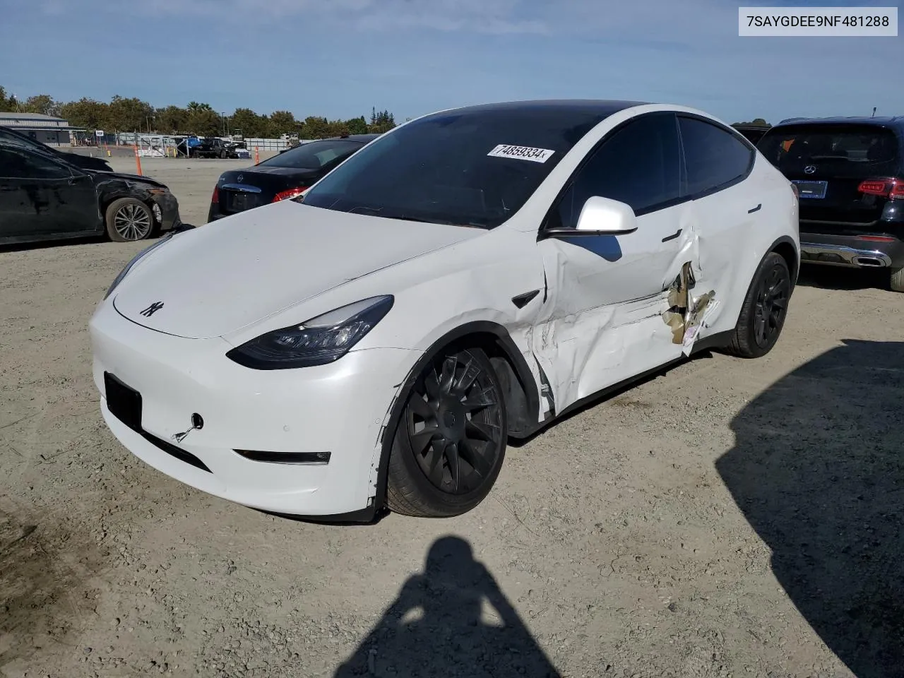 2022 Tesla Model Y VIN: 7SAYGDEE9NF481288 Lot: 74859334