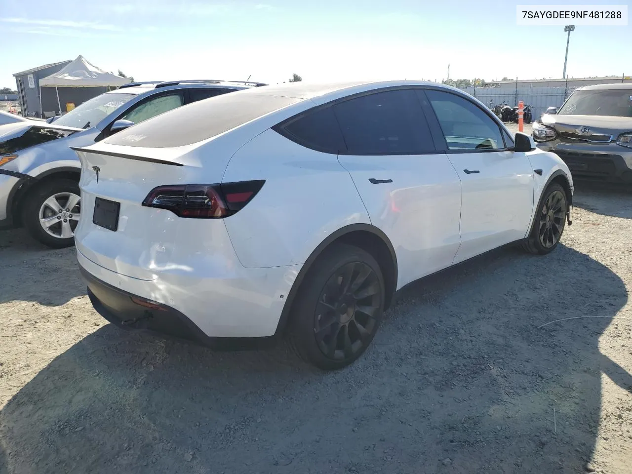 2022 Tesla Model Y VIN: 7SAYGDEE9NF481288 Lot: 74859334