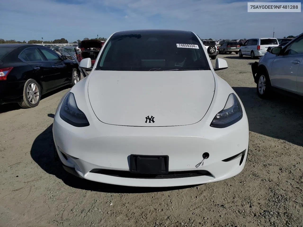 2022 Tesla Model Y VIN: 7SAYGDEE9NF481288 Lot: 74859334