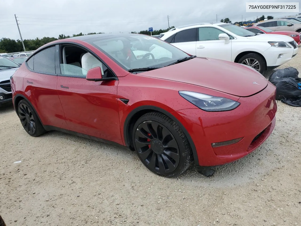 2022 Tesla Model Y VIN: 7SAYGDEF9NF317225 Lot: 74953494