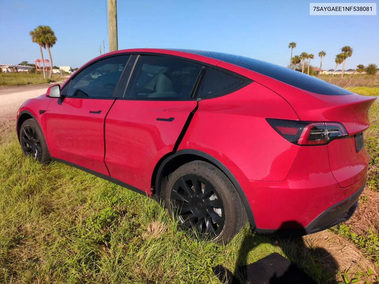 2022 Tesla Model Y VIN: 7SAYGAEE1NF538081 Lot: 74967184